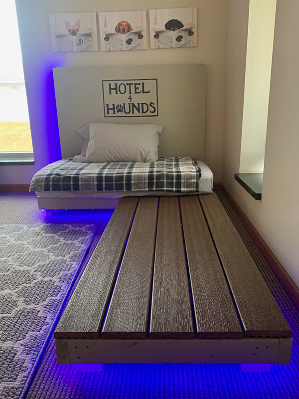 Dog Bed With Purple Light