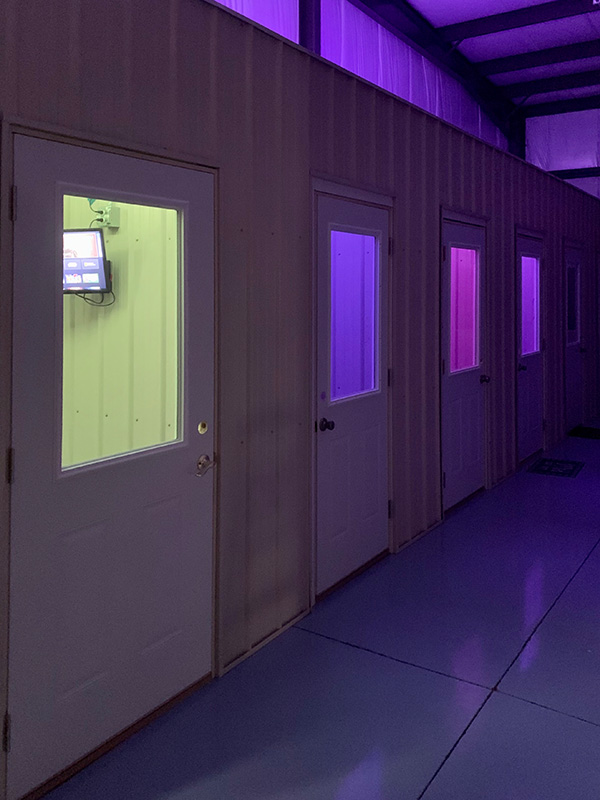 Hallway with Greeb and Purple Lighting